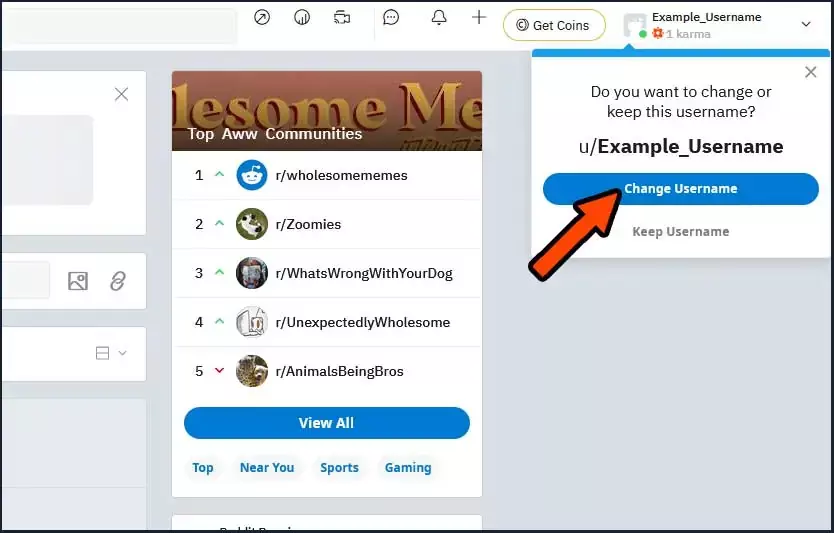 Reddit allows you to select a username on sign-up and also allows you to change your username post signup.  However, they must be unique.  People can find you by username.  If you change your username, your previous posts in Reddit will now be shown using your new username.